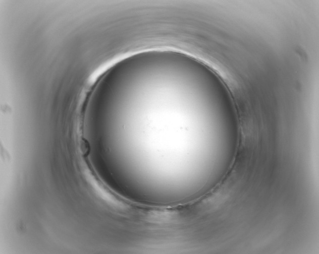X0000091201526200708091258