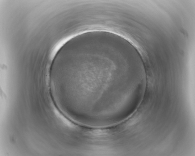 X0000091201527200708091258