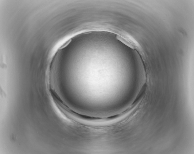 X0000091201528200708091258