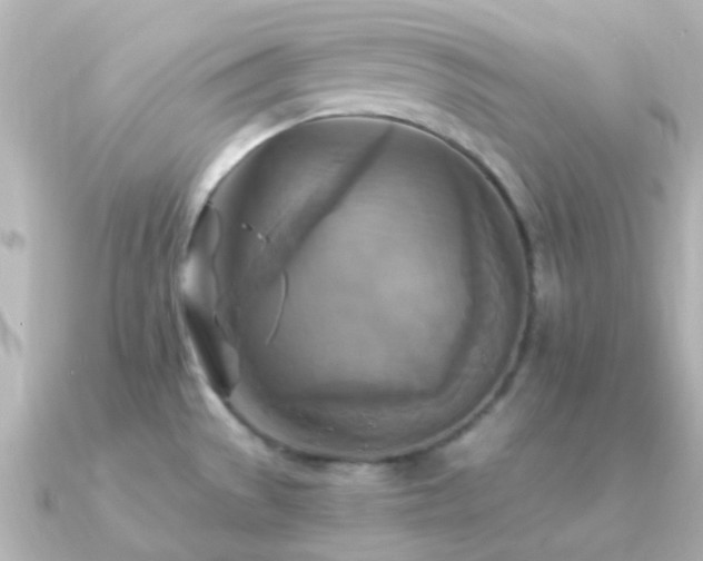 X0000091201529200708091258