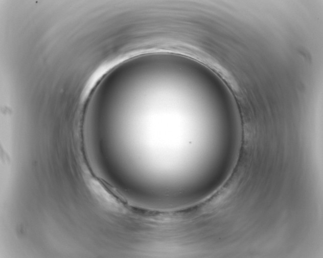 X0000091201530200708091258