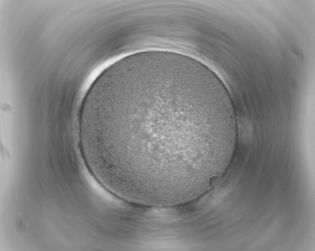 X0000091201531200708091258
