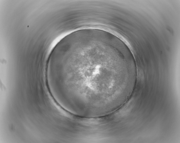 X0000091201533200708091258