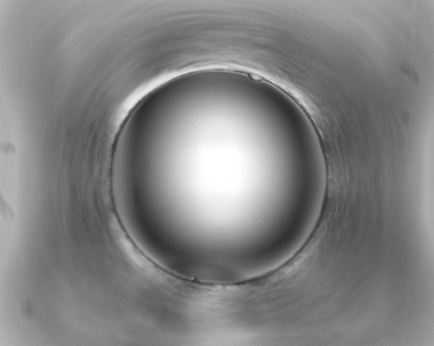 X0000091201534200708091258