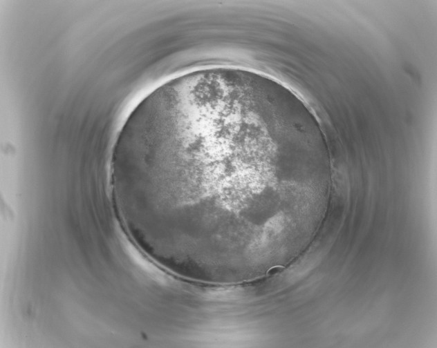 X0000091201535200708091258