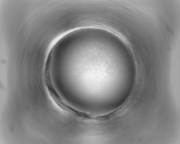 X0000091201536200708091258