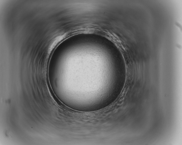 X0000091200003200708161625