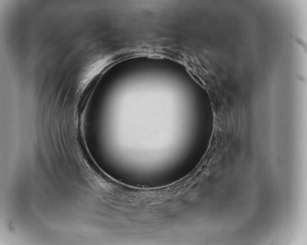 X0000091200005200708161625