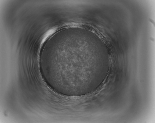 X0000091200006200708161625