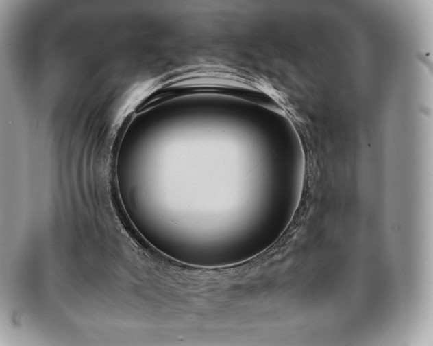 X0000091200007200708161625