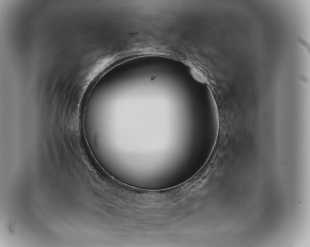 X0000091200008200708161625