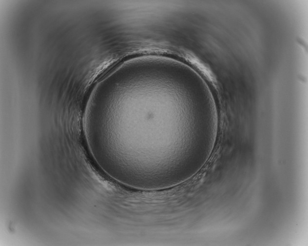 X0000091200009200708161625