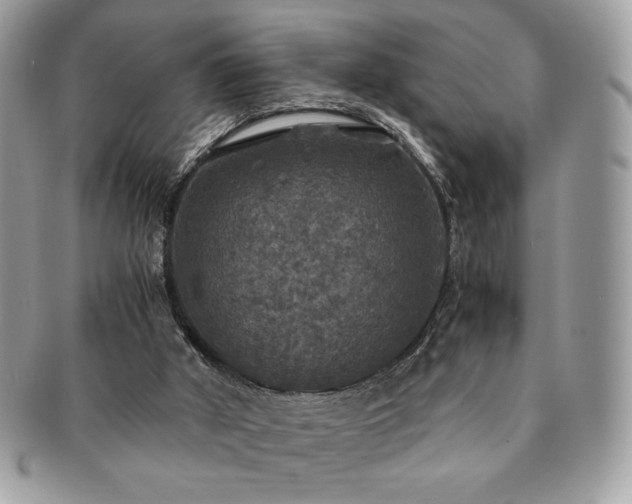 X0000091200010200708161625