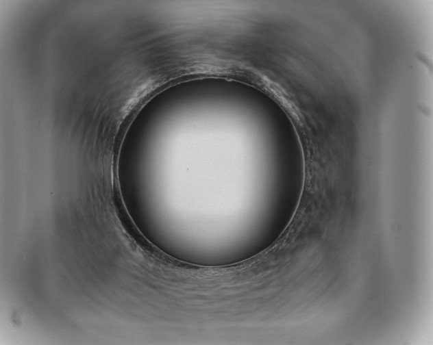X0000091200011200708161625