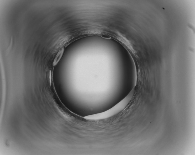 X0000091200013200708161624