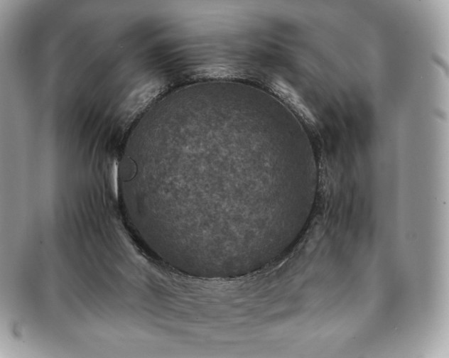 X0000091200014200708161624