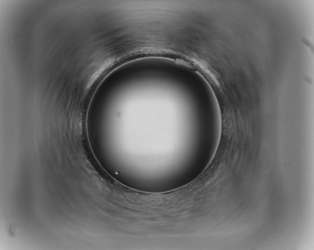 X0000091200015200708161624