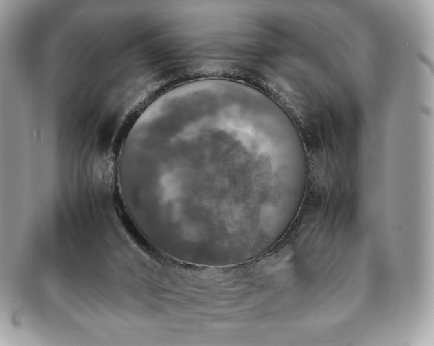 X0000091200016200708161624