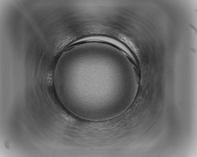 X0000091200017200708161624