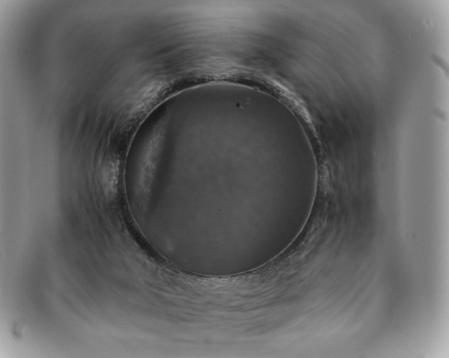 X0000091200018200708161624