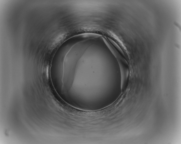 X0000091200019200708161624