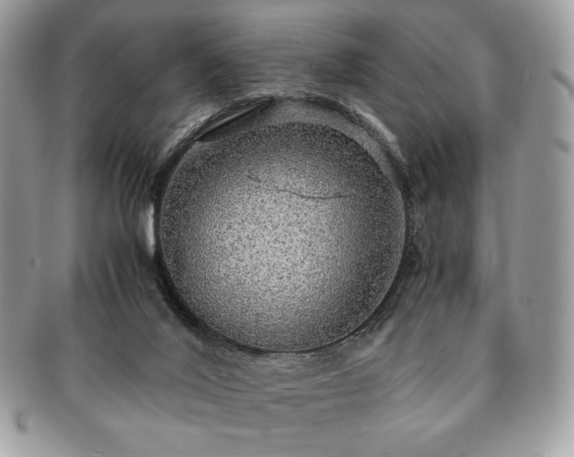 X0000091200020200708161624