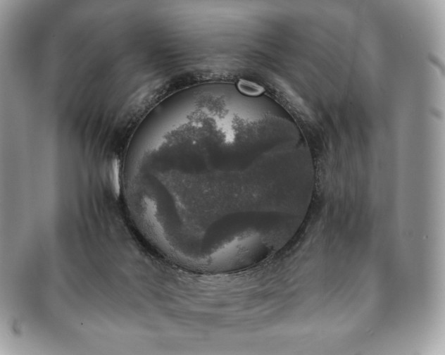 X0000091200022200708161624