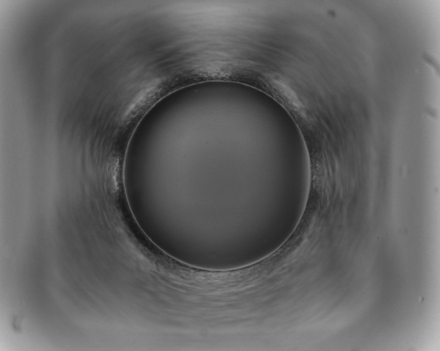 X0000091200023200708161624