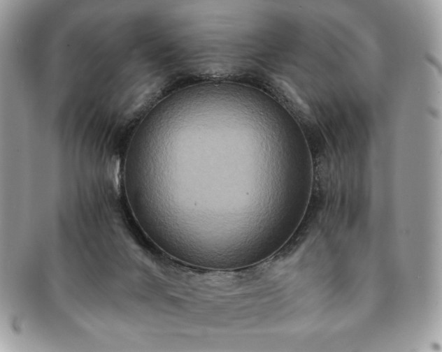 X0000091200024200708161624
