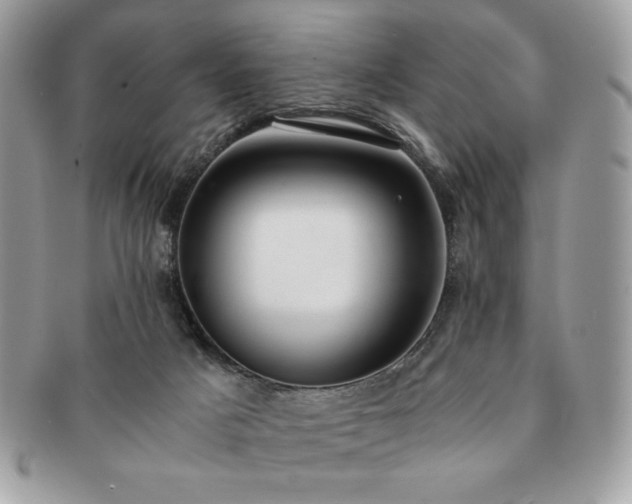 X0000091200025200708161624