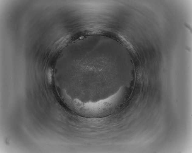 X0000091200026200708161624