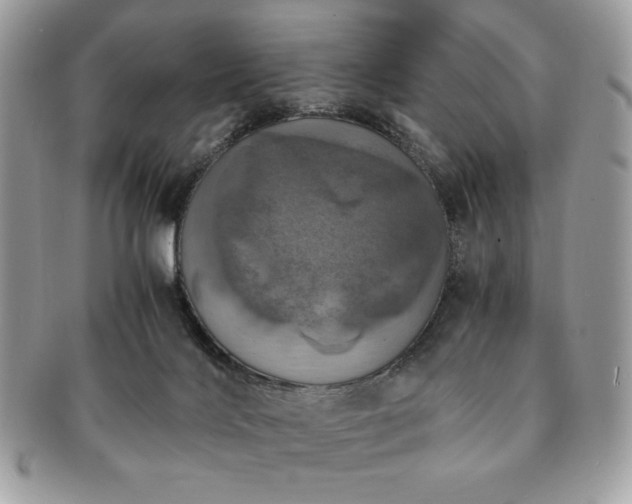 X0000091200028200708161624