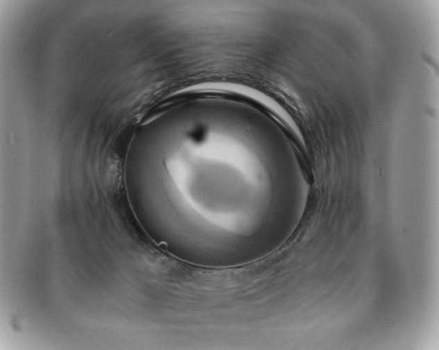 X0000091200029200708161624