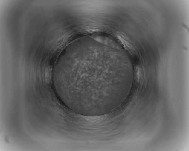 X0000091200030200708161624