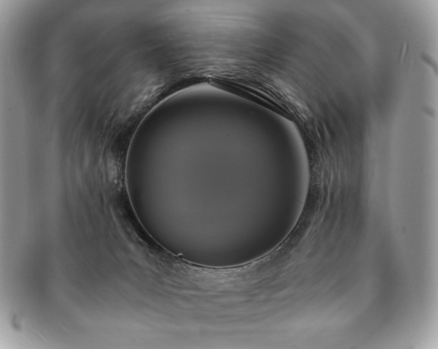 X0000091200031200708161624