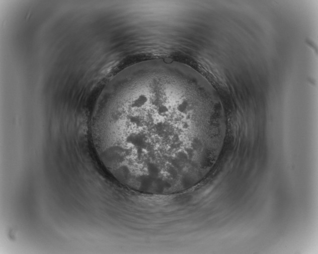 X0000091200032200708161624