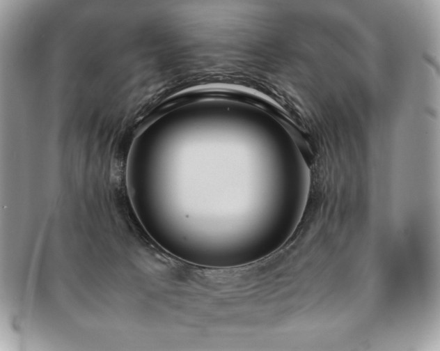 X0000091200033200708161624