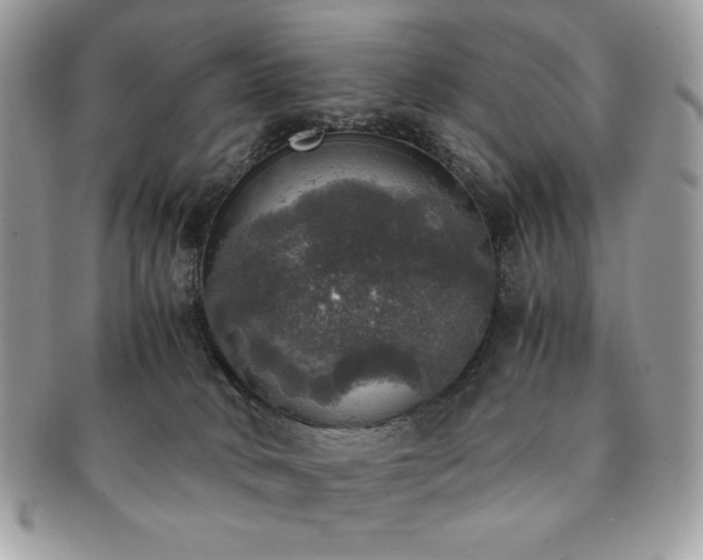 X0000091200034200708161624