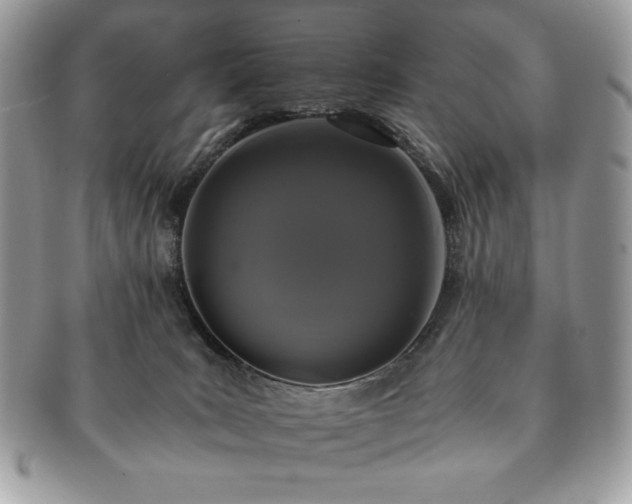 X0000091200035200708161624