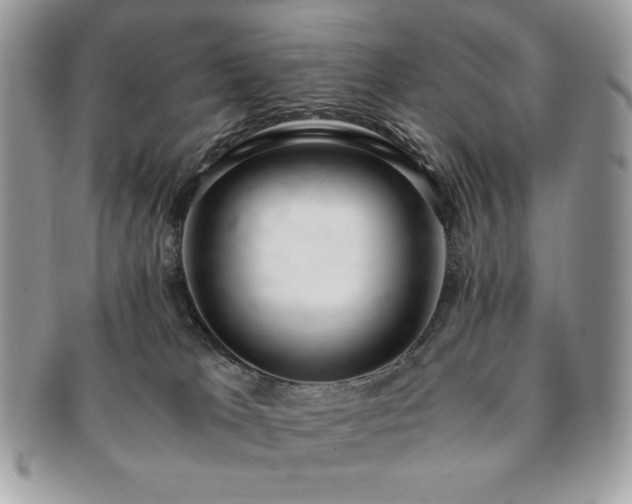 X0000091200037200708161624