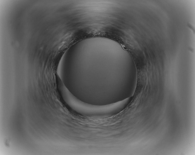X0000091200039200708161624