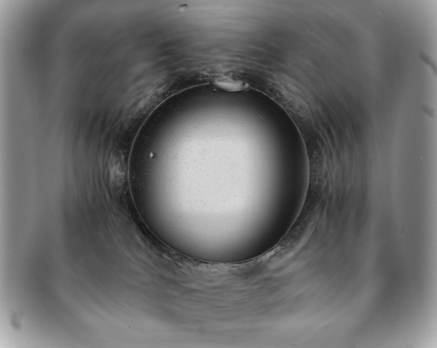 X0000091200040200708161624