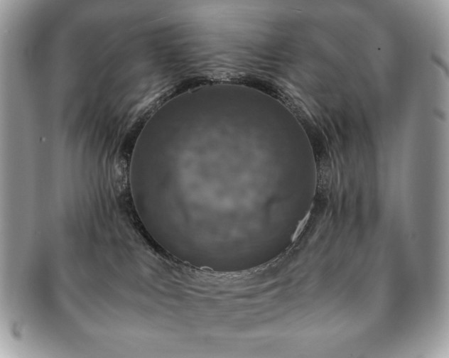 X0000091200043200708161624