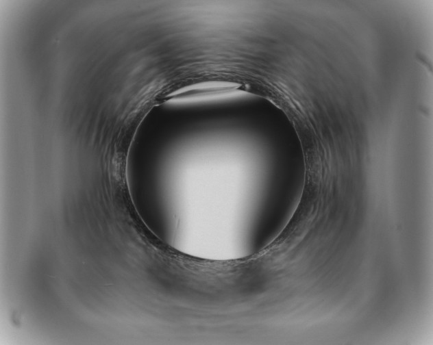 X0000091200044200708161624