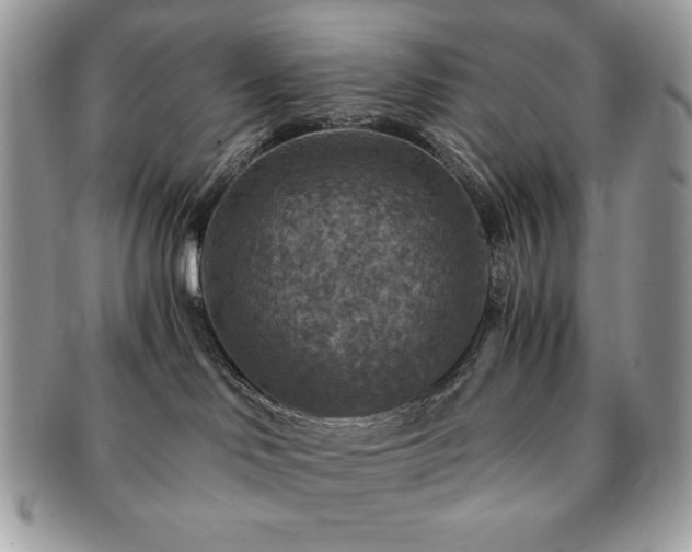 X0000091200046200708161624