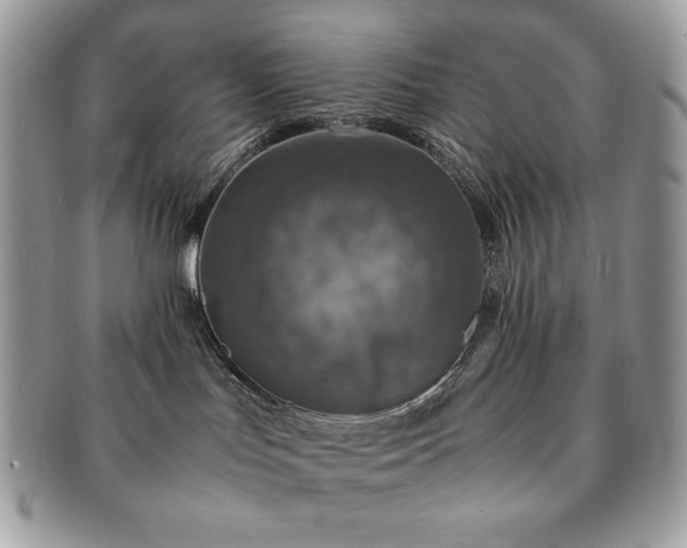 X0000091200047200708161624