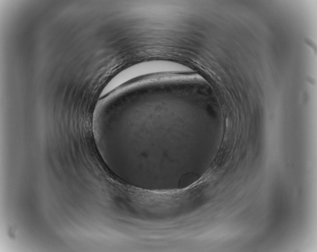 X0000091200048200708161624
