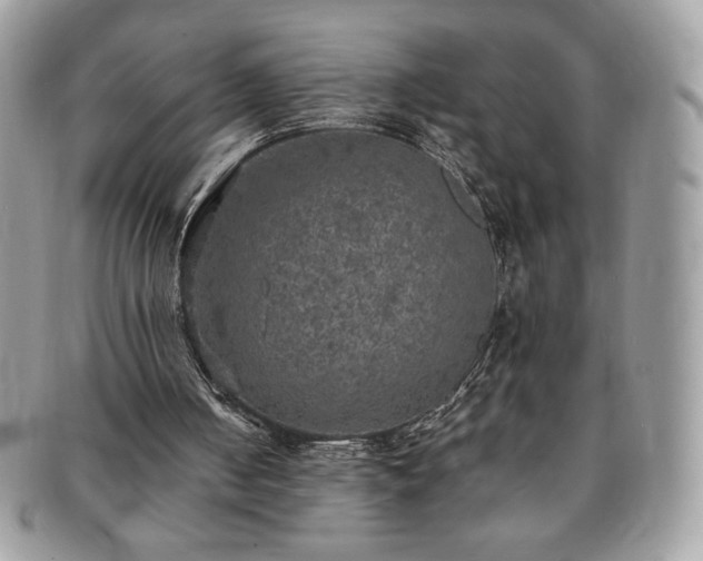X0000091200050200708161623