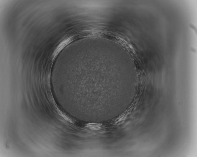X0000091200051200708161623