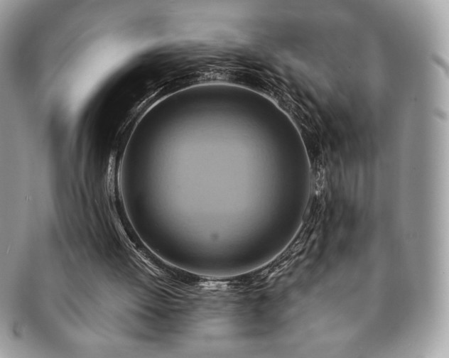 X0000091200052200708161623
